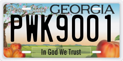 GA license plate PWK9001