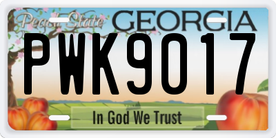 GA license plate PWK9017
