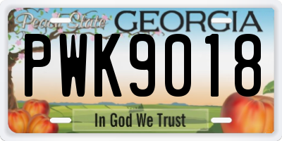 GA license plate PWK9018