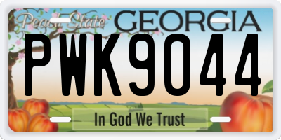GA license plate PWK9044