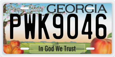 GA license plate PWK9046