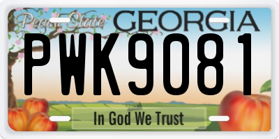 GA license plate PWK9081