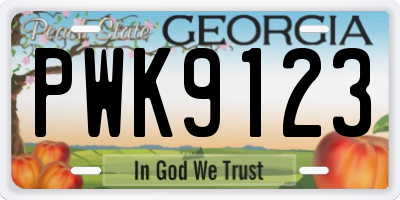GA license plate PWK9123