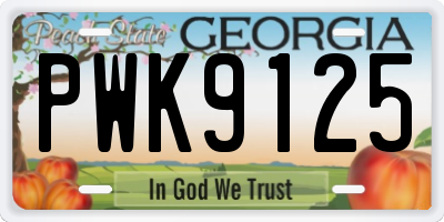 GA license plate PWK9125