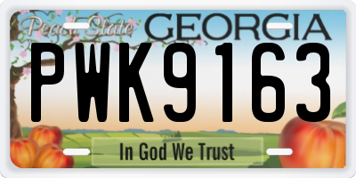 GA license plate PWK9163