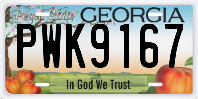 GA license plate PWK9167