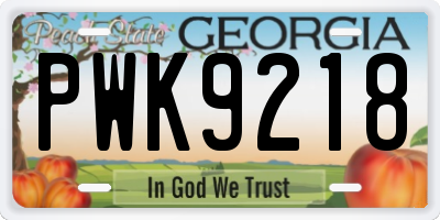 GA license plate PWK9218