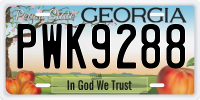 GA license plate PWK9288
