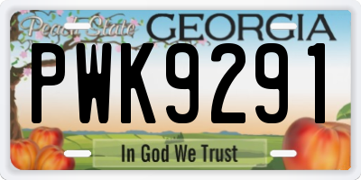 GA license plate PWK9291