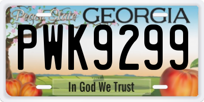 GA license plate PWK9299