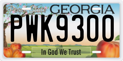 GA license plate PWK9300