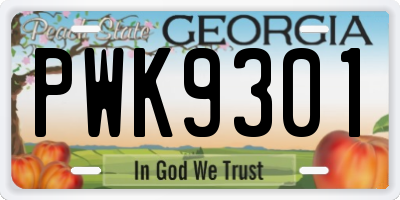 GA license plate PWK9301
