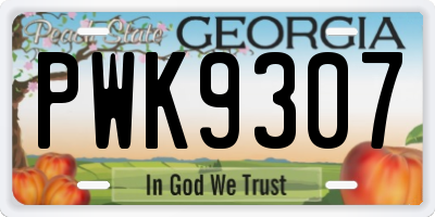 GA license plate PWK9307