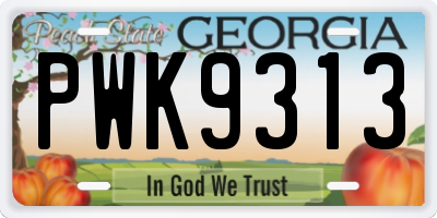 GA license plate PWK9313