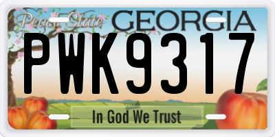 GA license plate PWK9317