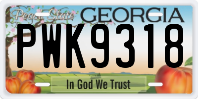 GA license plate PWK9318