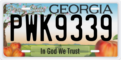 GA license plate PWK9339