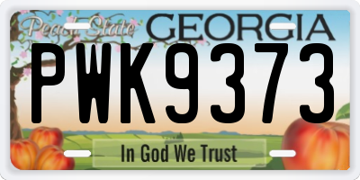 GA license plate PWK9373