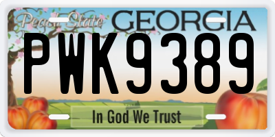 GA license plate PWK9389