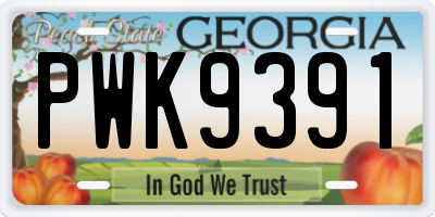 GA license plate PWK9391