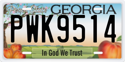 GA license plate PWK9514