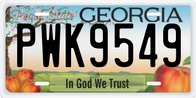GA license plate PWK9549