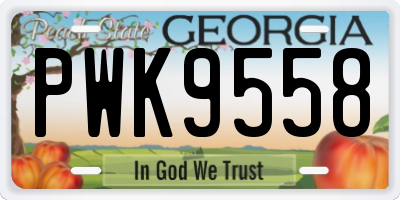 GA license plate PWK9558