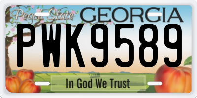 GA license plate PWK9589