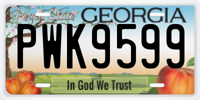 GA license plate PWK9599