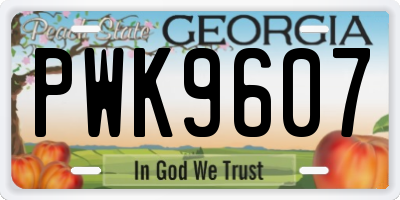 GA license plate PWK9607
