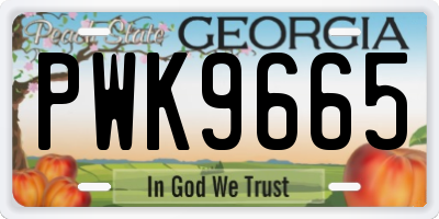 GA license plate PWK9665