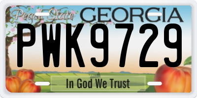 GA license plate PWK9729