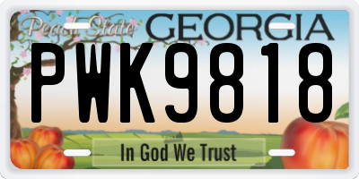 GA license plate PWK9818