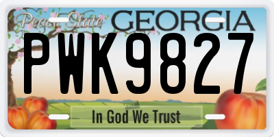 GA license plate PWK9827