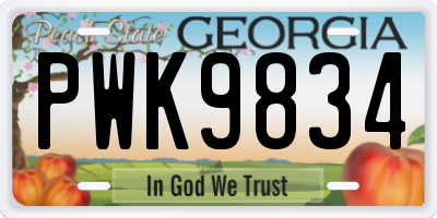 GA license plate PWK9834