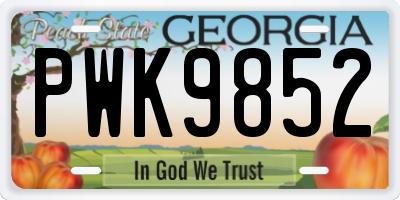 GA license plate PWK9852