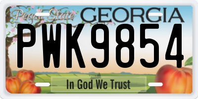 GA license plate PWK9854