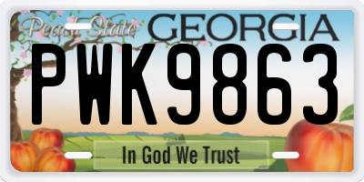 GA license plate PWK9863