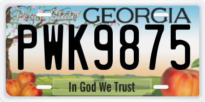 GA license plate PWK9875