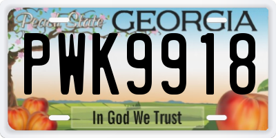 GA license plate PWK9918