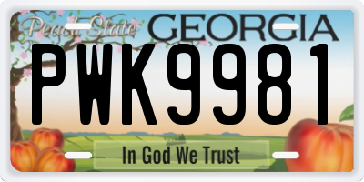 GA license plate PWK9981