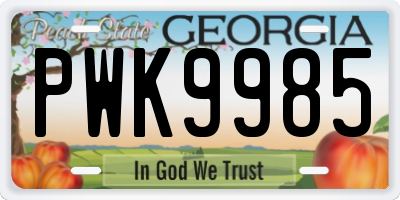 GA license plate PWK9985