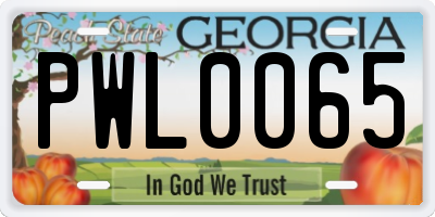 GA license plate PWL0065
