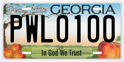 GA license plate PWL0100