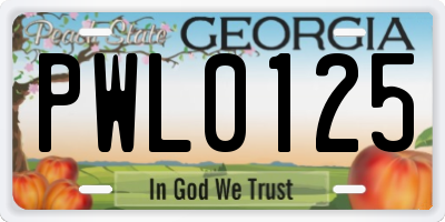 GA license plate PWL0125
