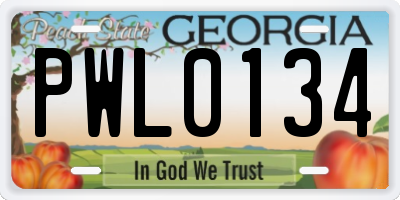 GA license plate PWL0134