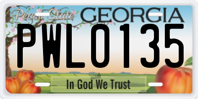 GA license plate PWL0135