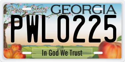 GA license plate PWL0225