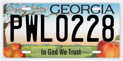 GA license plate PWL0228