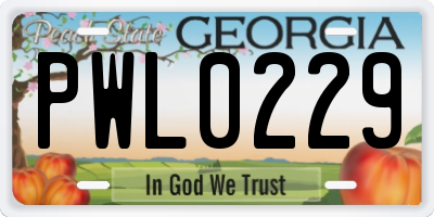 GA license plate PWL0229
